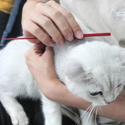 peigne pour chat colore rouge chat