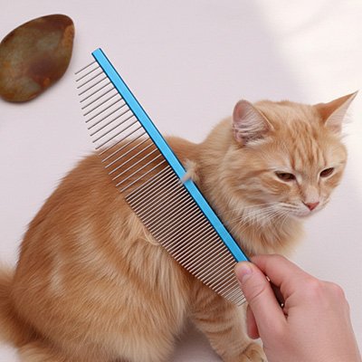 peigne pour chat demelant bleu chat