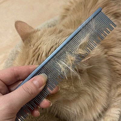 peigne pour chat professionnel bleu poil canape