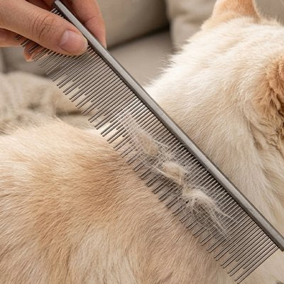 peigne pour chat professionnel noir poil canape