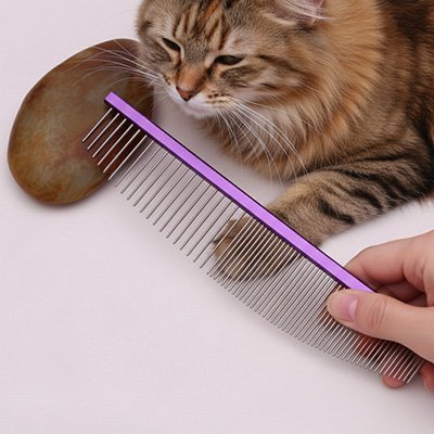 peigne pour chat violet chat demelant