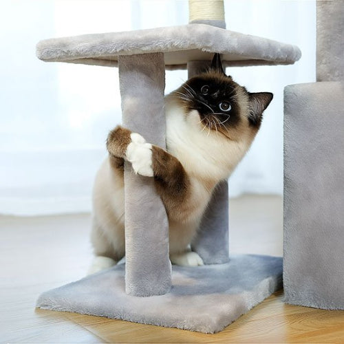 petit arbre a chat​ gris multi niveaux chat jouant