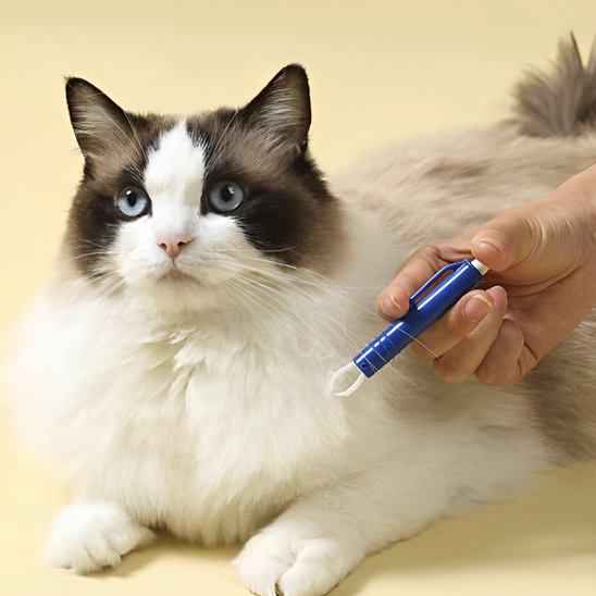 pince à tique bleu chat allonge