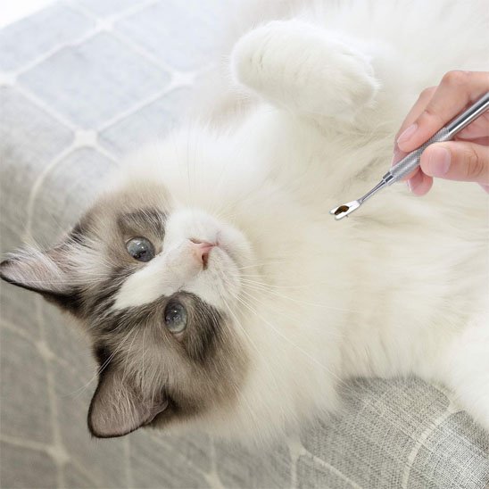 pince à tique professionnelle chat allonge
