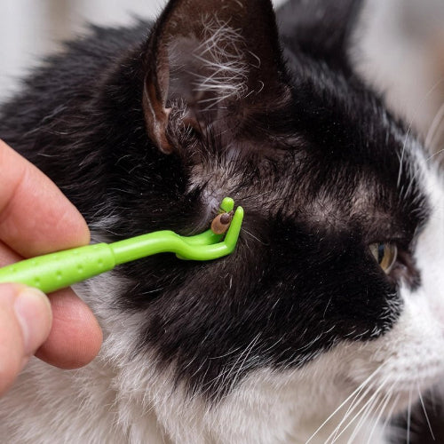pince à tique vert multi tailles chat