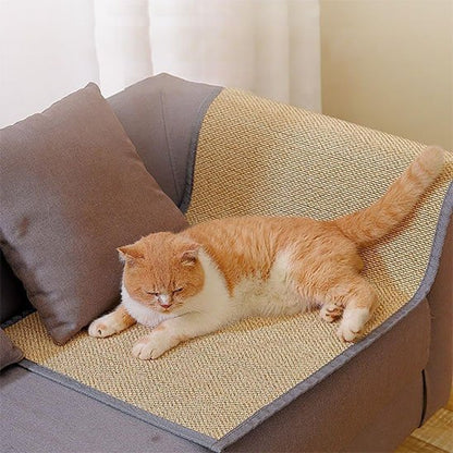 protection canapé chat bambou naturel chat allonge salon