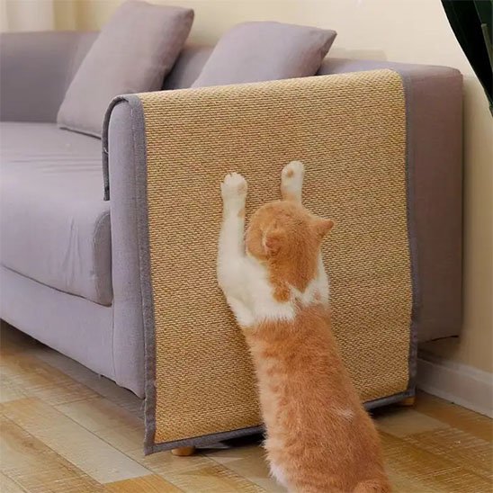 protection canapé chat bambou naturel chat debout salon