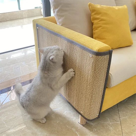 protection canapé chat bambou naturel chat salon
