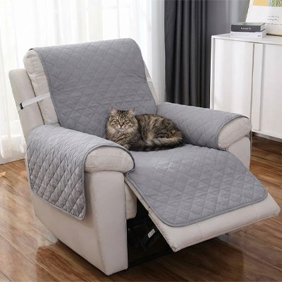 protection canapé chat gris anti usure chat allonge salon