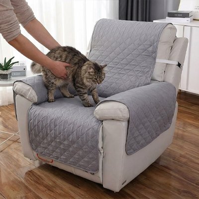 protection canapé chat gris anti usure chat debout salon