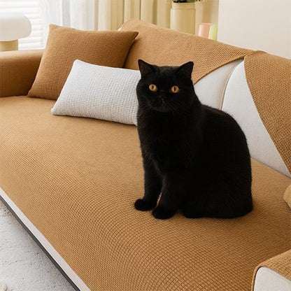 protection canapé chat marron chat assis