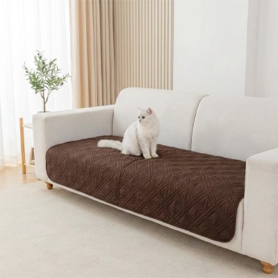 protection canapé chat marron design elegant chat assis