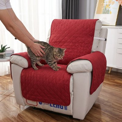 protection canapé chat rouge bordeaux anti usure chat debout