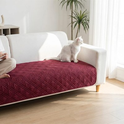 protection canapé chat rouge bordeaux chat maitresse assis salon