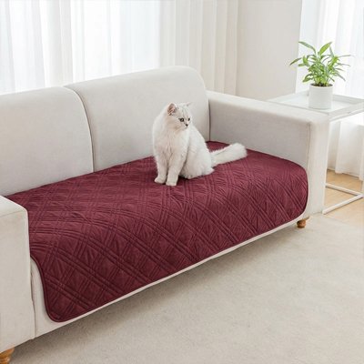 protection canapé chat rouge bordeaux design elegant chat assis