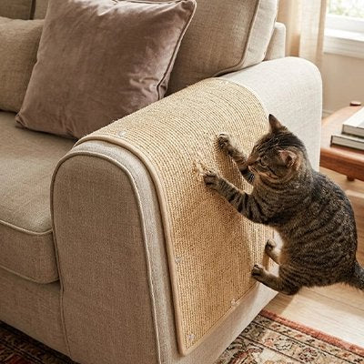 protection canapé chat sisal naturel accoudoir chat griffant salon