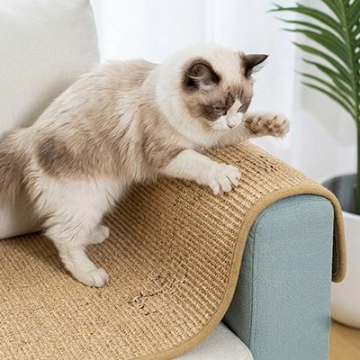 protection canapé chat sisal naturel chat griffant accoudoir