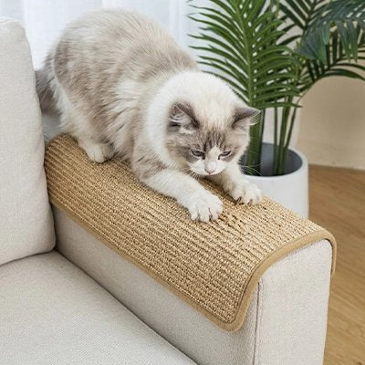 protection canapé chat sisal naturel chat griffant canape salon