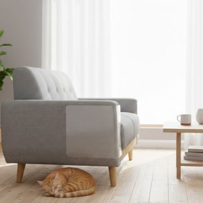 protection canapé chat transparente chat allonge canape gris salon
