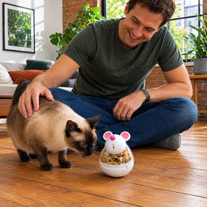 souris jeu chat distributeur de croquettes maitre avec chat