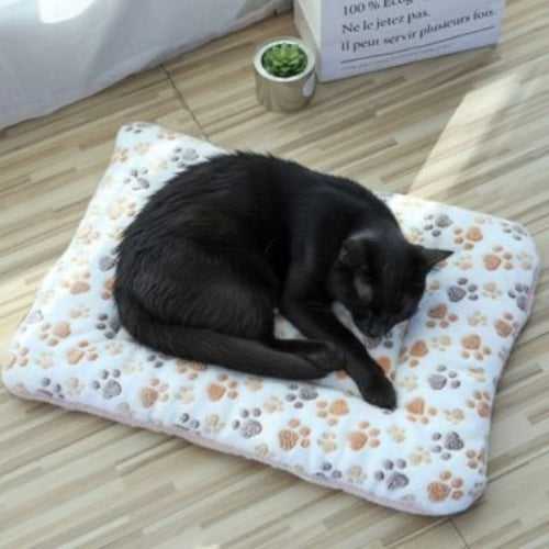 tapis chat blanc pattes chat dormant