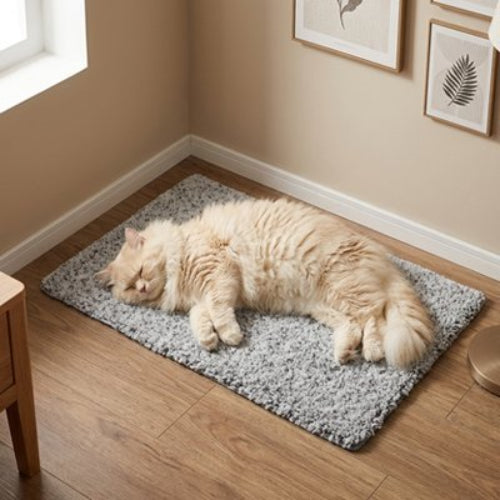 tapis chat chauffant chat dormant