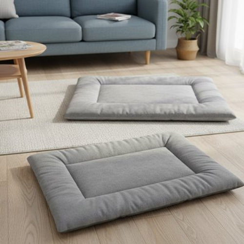 tapis chat doux canape salon