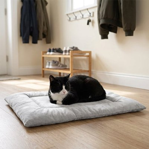 tapis chat doux chat allonge