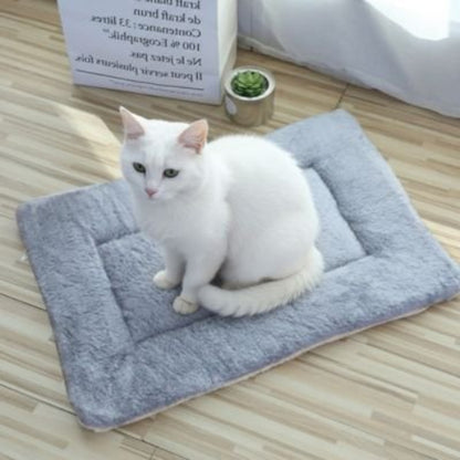 tapis chat gris chat assis