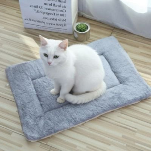 tapis chat gris chat assis