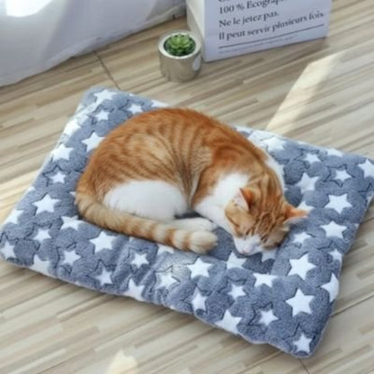 tapis chat gris etoiles chat dormant