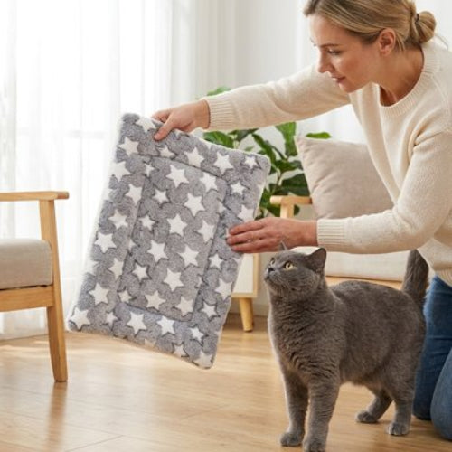 tapis chat gris motifs etoiles maitresse chat debout salon
