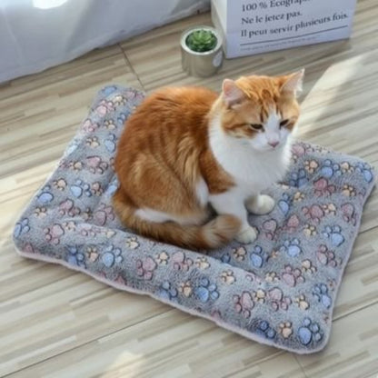 tapis chat gris pattes chat assis