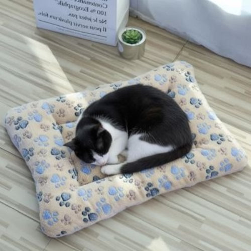 tapis chat jaune pattes chat dormant
