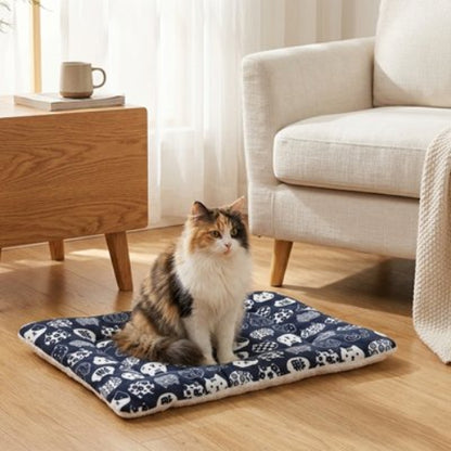 tapis chat motifs felins chat assis salon