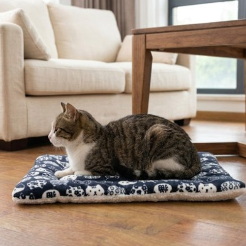 tapis chat motifs felins salon chat allonge