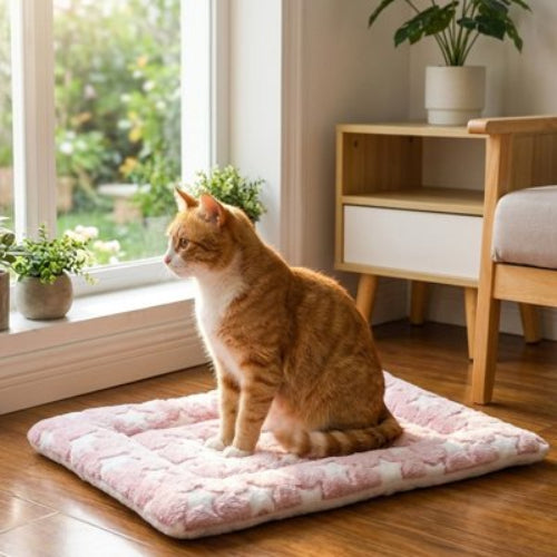 tapis chat rose motifs etoiles chat assis salon