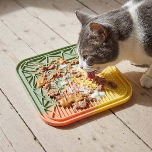 tapis de lechage multicolore chat lechant