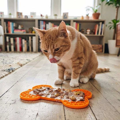 tapis de lechage orange avec chat salon