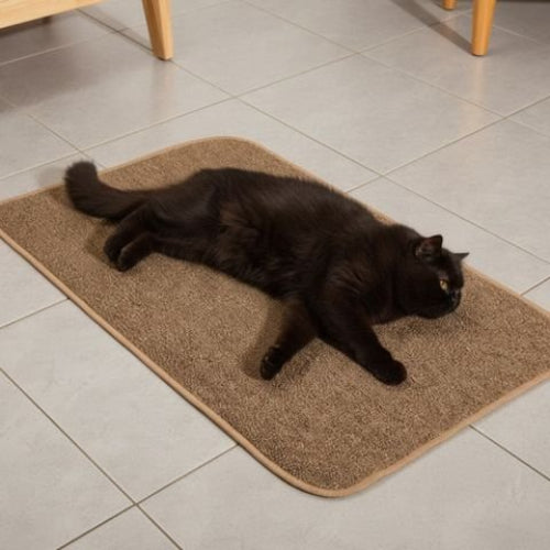 tapis griffoir chat marron anti rayures chat allonge
