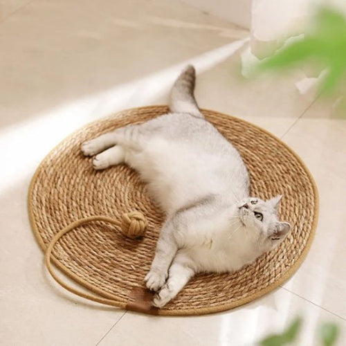 tapis griffoir chat rotin chat allonge