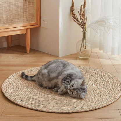 tapis griffoir chat rotin chat apaise