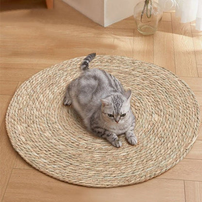 tapis griffoir chat rotin chat assis