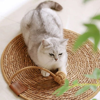 tapis griffoir chat rotin chat jouant