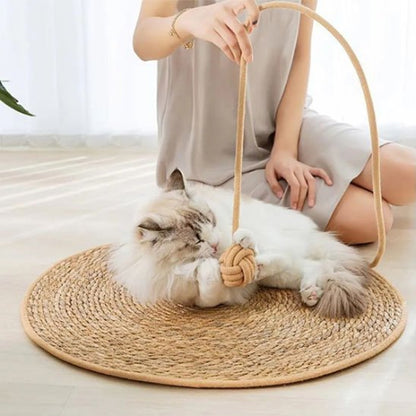 tapis griffoir chat rotin maitresse chat jouant