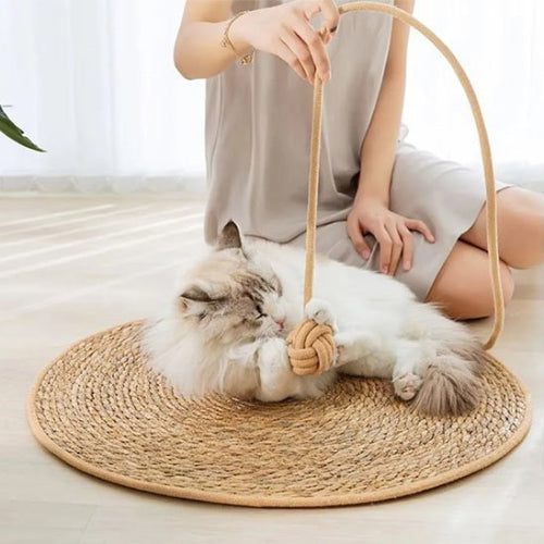 tapis griffoir chat rotin maitresse chat jouant