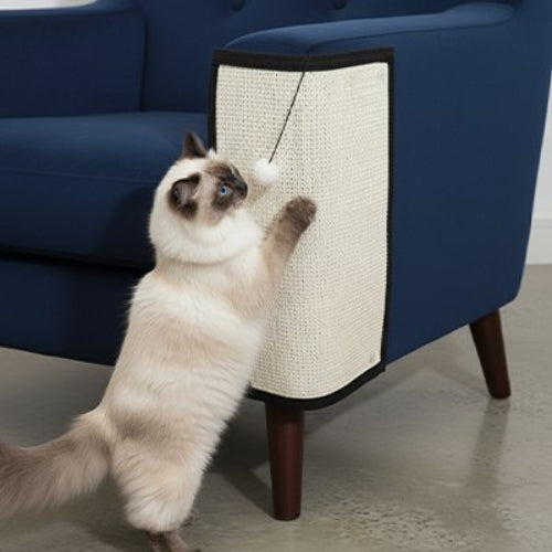tapis griffoir chat sisal naturel chat griffant canape bleu