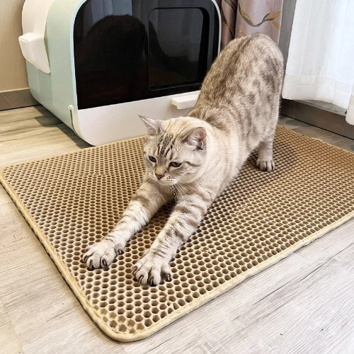 tapis litière chat jaune chat apaise
