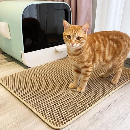 tapis litière chat jaune chat debout