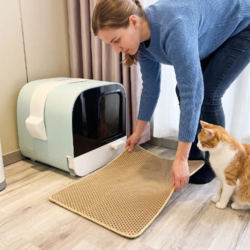 tapis litière chat jaune maitresse chat debout